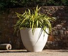 Abria - handcrafted FRC bowl planter