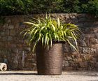 Arlo - handcrafted FRC planter with flared rim