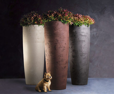 Brann - tapered cylinder FRC planter
