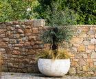 Cara - handcrafted contemporary bowl planter