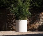 Dace - handcrafted low cylinder planter