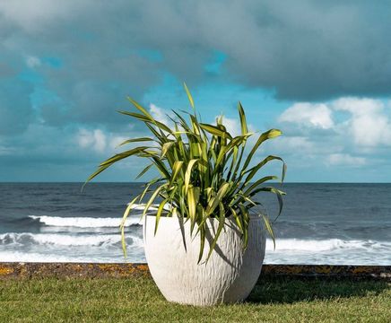 Kari - contemporary FRC bowl shaped planter