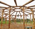 16m-diameter bespoke timber roundhouse with sedum roof
