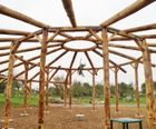 16m-diameter bespoke timber roundhouse with sedum roof
