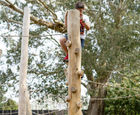 Robinia Climbing Trunk (TT.PO.08.2)