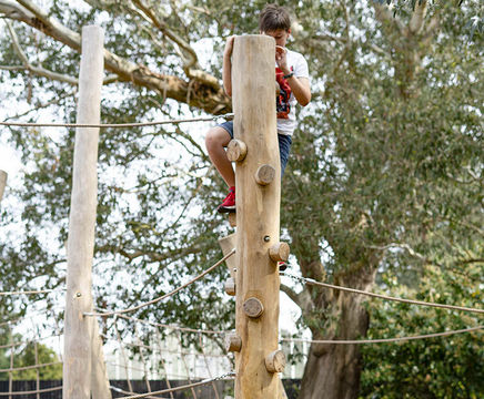Robinia Climbing Trunk (TT.PO.08.2)