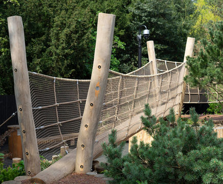 Log Net Bridge (TT.2.16)