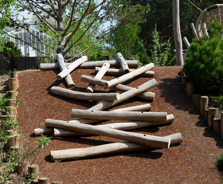 Log Scramble (TT.2.08)