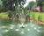Evolution - floating pond fountains 1