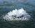 Evolution - floating pond fountains 4