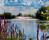 Select Series 2 - stationary aerating pond fountains - on this page