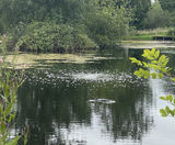 Diffused aeration system for Mill Brae Fishery, Scotland - on this page
