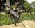Animal Sculpture 3