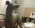 Animal Sculpture 10