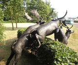 Animal Sculpture - on this page