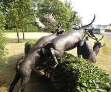 Animal Sculpture