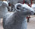Animal Sculpture 5