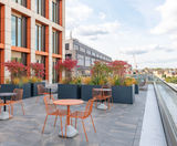 Roof terrace fit-out for Bloom Clerkenwell - on this page