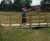 Pedestrian timber bridges 0