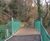 Cycleway timber bridges 1