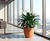 Bradley - fibreglass indoor and outdoor planter for modern spaces 4