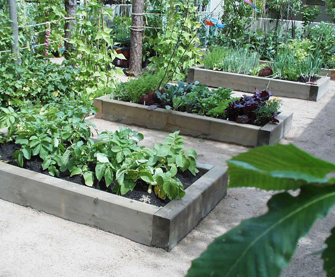 Sleepers create raised beds for Growing Schools Garden Hoppings