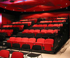 Arts PC premium sized, nose mounted theatre chair