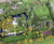 Trees and plants for Wiltshire manor house 0