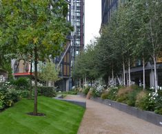 Trees for NEO Bankside, London