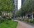 Trees for NEO Bankside, London 0