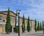 Mature fastigiate oak trees for Royal Arsenal, London 2