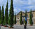 Mature fastigiate oak trees for Royal Arsenal, London 0