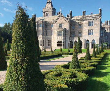 Topiary for hotel's landscaped gardens - Adare Manor