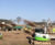 Climate-change-resistant trees for innovation park 1