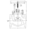 Titanium and exotic alloy globe valves Series 4200