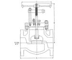 Titanium and exotic alloy globe valves Series 4200