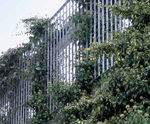 Piazza-132 - steel grating panels for green walls and plant support