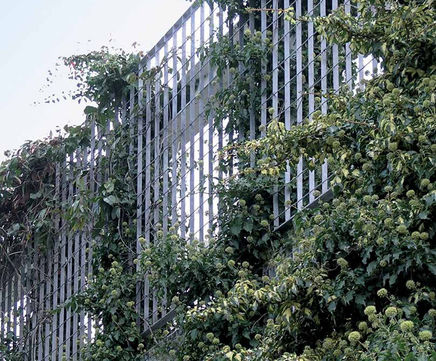 Piazza-132 - steel grating panels for green walls and plant support