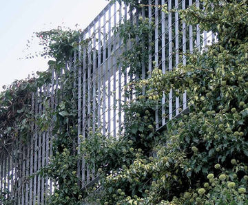 Piazza-132 - steel grating panels for green walls and plant support