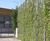 Piazza-132 - steel grating panels for green walls and plant support 5