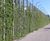 Piazza-132 - steel grating panels for green walls and plant support 8
