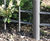 Modena railing fence 4