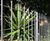 Modena railing fence 3