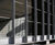 Plant trellis screening - Nokia R&D, Farnborough 2