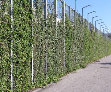 Piazza-132 - steel grating panels for green walls and plant trellis