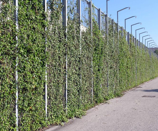 Piazza-132 - steel grating panels for green walls and plant trellis