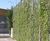 Piazza-132 - steel grating panels for green walls and plant trellis 7