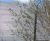 Car park screening - Portlaoise urban park 5