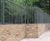 Siena: mild steel railing fence with conified top 4