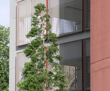 Stereo rectangular open mesh architectural gratings